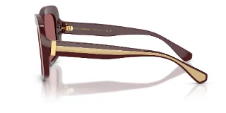 Dolce & Gabbana Sunglasses DG4557