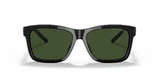Ralph Lauren Sunglasses RL8203QU