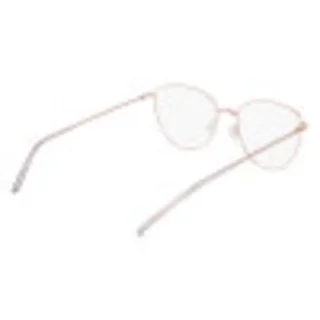 Dkny Eyeglasses DK1027