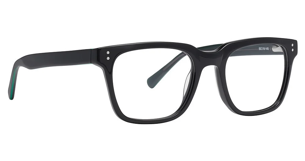 Life Is Good Eyeglasses LG Zach