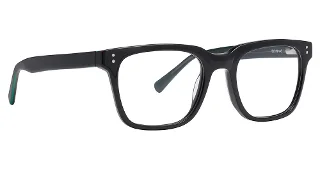 Life Is Good Eyeglasses LG Zach