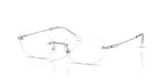 Swarovski Eyeglasses SK1040