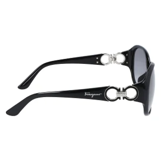 Salvatore Ferragamo Sunglasses SF896SRAN