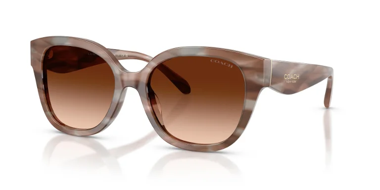 Coach Sunglasses HC8438U