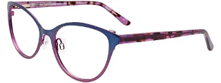 050 Blue & Purple