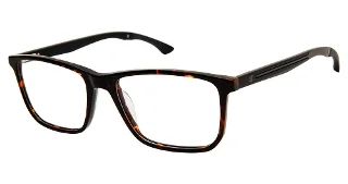 C02 Tortoise