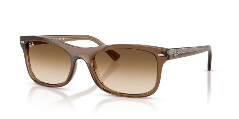 Ray Ban Sunglasses RB2226