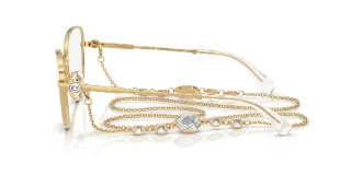 Swarovski Eyeglasses SK1022