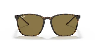 Ray Ban Sunglasses RB4387