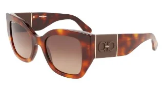 238 Classic Tortoise