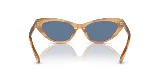 Polo Sunglasses PH4199U