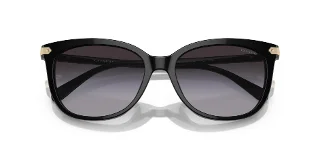 Coach Sunglasses HC8378U