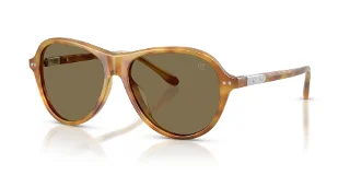 618573 Shiny Tortoise Light Brown