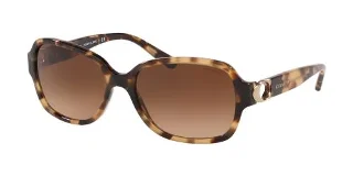 557674 Brown Tortoise