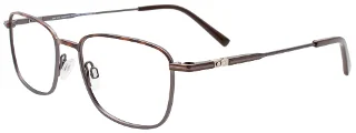 010 Tortoise / Steel