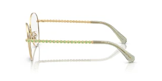 Swarovski Eyeglasses SK1013