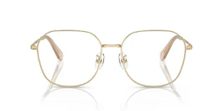 Swarovski Eyeglasses SK1009D