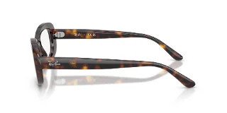 Ray Ban Eyeglasses RX2221V