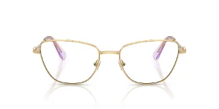 Swarovski Eyeglasses SK1018