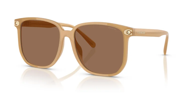 Coach Sunglasses HC8413BD