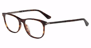 Tortoise (0722)
