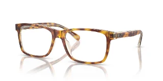 5756 Tortoise / Transparent Beige