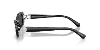 Swarovski Sunglasses SK6071U
