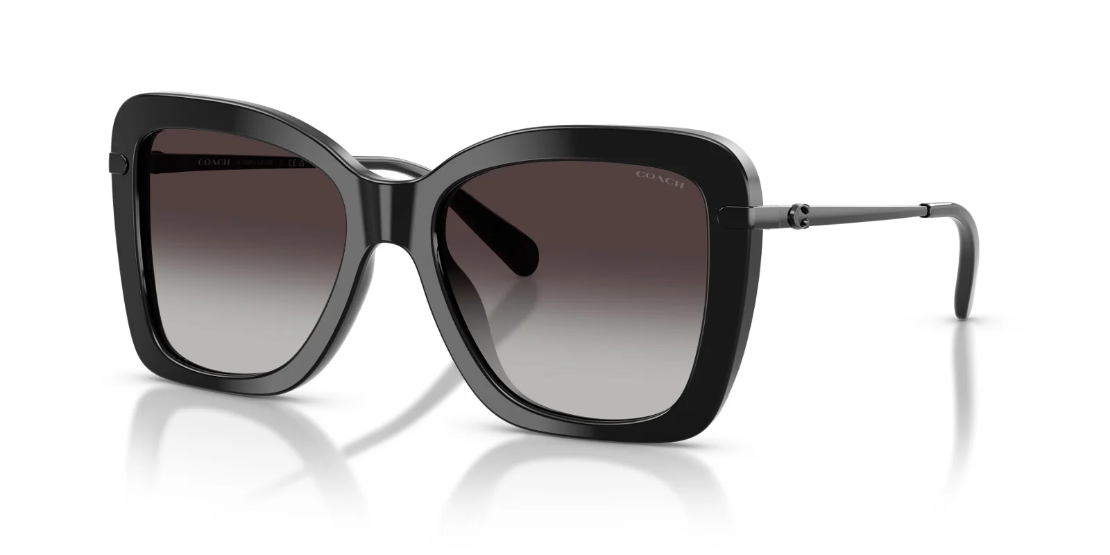 Coach Sunglasses HC8461U