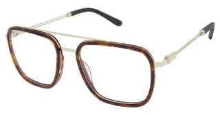 C02 Tortoise/Gold