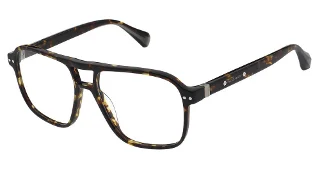 155-Als-1031 Hopper Dark Tortoiseshell