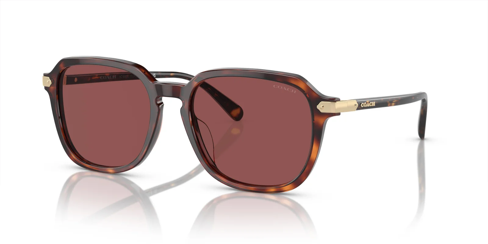 Coach Sunglasses HC8383U