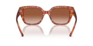 Coach Sunglasses HC8392U