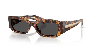 512187 Brown Tortoise