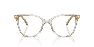 Swarovski Eyeglasses SK2020