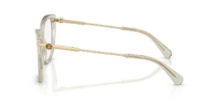 Swarovski Eyeglasses SK2060
