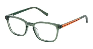 S316-Sfk-341 Forest Orange