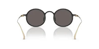 Giorgio Armani Sunglasses AR6173T