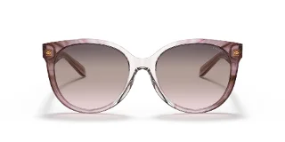 Coach Sunglasses HC8321