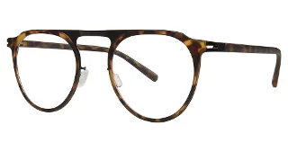 024 Tortoise