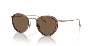 333573 Shiny Havana
