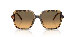 Dolce & Gabbana Sunglasses DG4539