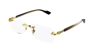 002 Gold/Brown