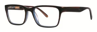 Penguin Eyeglasses THE DAVENPORT