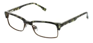 Green Tortoise