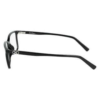 Salvatore Ferragamo Eyeglasses SF2894