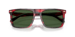 Coach Sunglasses HC8440U