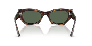 Ray Ban Sunglasses RB4430F