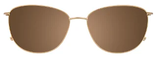 Easyclip Eyeglasses EC624