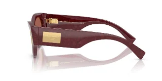 Dolce & Gabbana Sunglasses DG4480