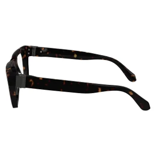 Salvatore Ferragamo Eyeglasses SF2995